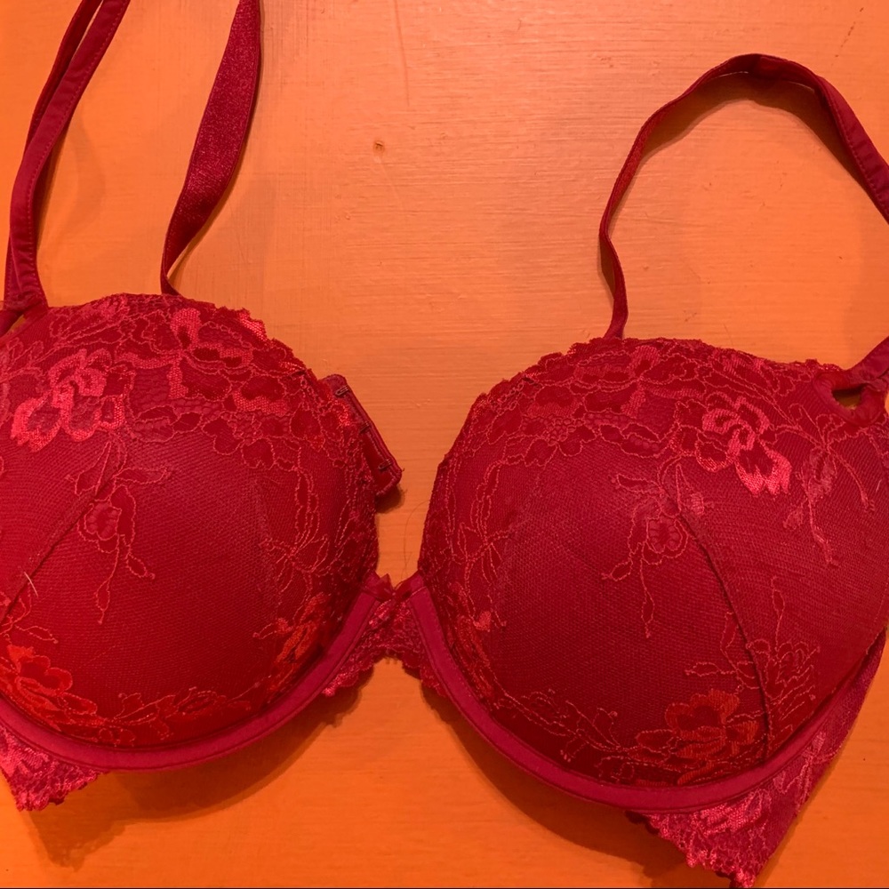 Torrid push up plunge bra